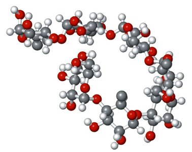 Helical conformation of amylose