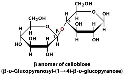 Cellobiose structure
