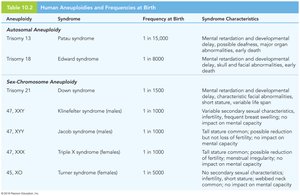 Table of Down syndrome risk by maternal age