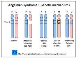Diagram of UPD and gene expression