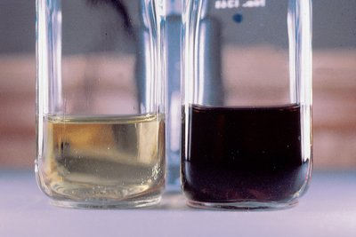Urine samples showing normal and alkaptonuria (black urine)