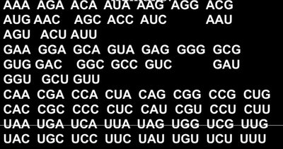 Codon sequences