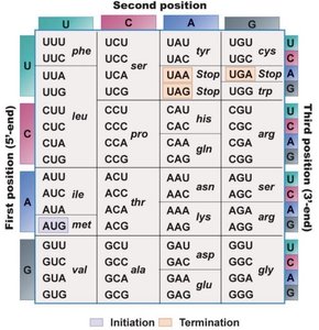 Genetic code table