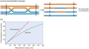 Interference and mapping accuracy graph