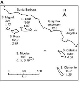 Map of Channel Islands and gray fox populations
