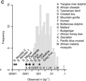 Histogram of observed genetic diversity