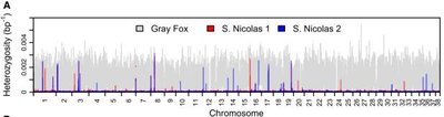 Chromosome heterozygosity graph