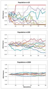 Graphs of allele frequency change under different Ne