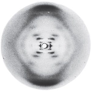 Watson-Crick DNA double helix structure
