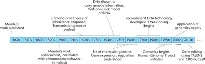 Timeline of genetics from Mendel to genomics