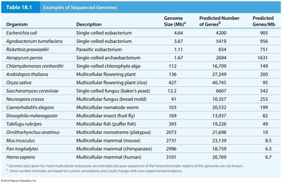 Examples of sequenced genomes table