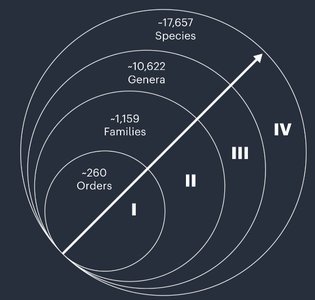 Comparison of hierarchical and whole-genome shotgun sequencing approaches