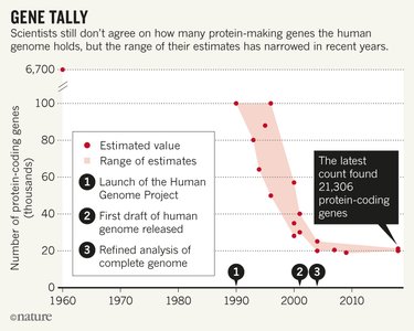 Gene tally: estimates of protein-coding genes in the human genome