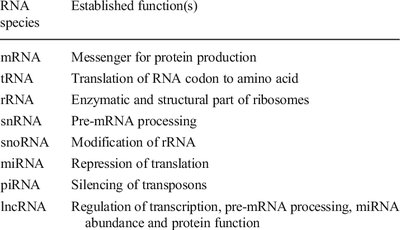 Table of RNA species and their functions