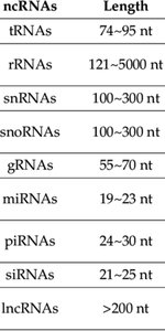 Table of noncoding RNA lengths