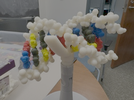 3D-printed DNA double helix model