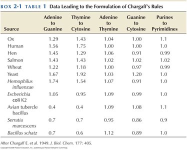 Chargaff's rules and base pairing