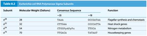 E. coli RNA polymerase sigma subunits table