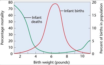 Graph showing relationship between birth weight and infant mortality/births, illustrating stabilizing selection