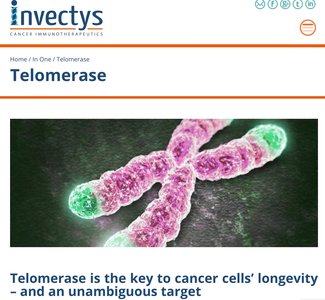 Cancer cells expressing telomerase as a therapeutic target