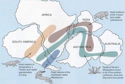 Map of camel distribution, biogeography example