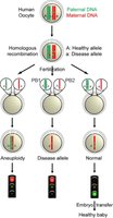 Polar body diagnosis in IVF
