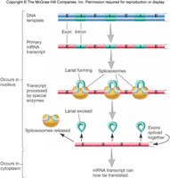 Polyadenylation and poly-A tail addition