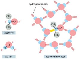 Acetone and water hydrogen bonding