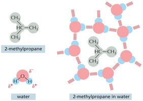 2-methylpropane in water