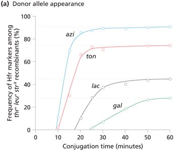 Time-of-entry mapping: frequency of donor allele appearance