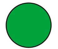 Green round seed (dominant phenotype)