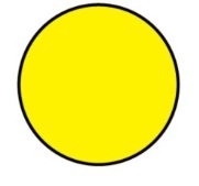 Yellow round seed (dominant for shape, recessive for color)
