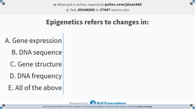 CpG methylation and gene silencing