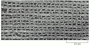 Localizing proteins in the electron microscope