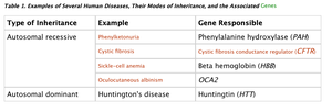 Table of inheritance patterns and responsible genes