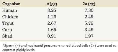 Table of DNA content by ploidy