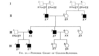 Pedigree chart for color blindness