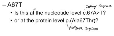 Distinguishing nucleotide and protein level nomenclature