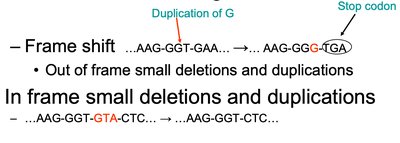 Frameshift and in-frame small deletions and duplications