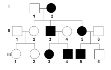 Pedigree symbols legend