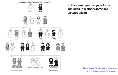 Diagram of unstable repeat expansion diseases
