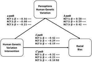Mediation model: Human Genetic Variation Intervention, Perceptions of Human Genetic Variation, and Racial Bias