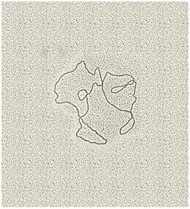 Electron micrograph of mitochondrial DNA