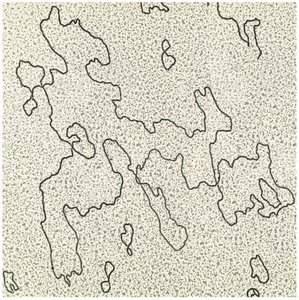 Electron micrograph of chloroplast DNA