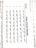 Order of gene transfer for Hfr strains