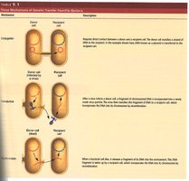 Mechanisms of genetic transfer: conjugation, transduction, transformation