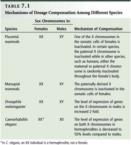 Table: Mechanisms of dosage compensation among different species