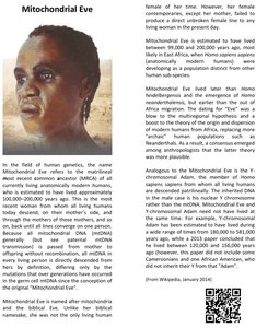 Maternal vs biparental inheritance