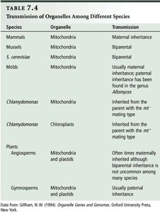 Table: Transmission of organelles among different species