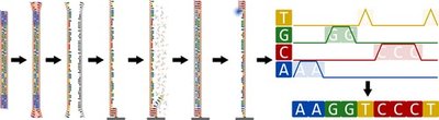 Overview of metagenomics and its applications